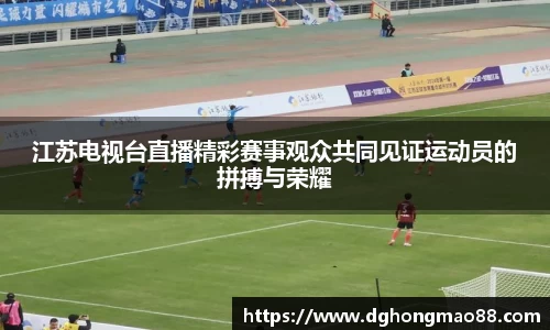 江苏电视台直播精彩赛事观众共同见证运动员的拼搏与荣耀
