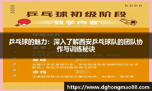 乒乓球的魅力：深入了解西安乒乓球队的团队协作与训练秘诀